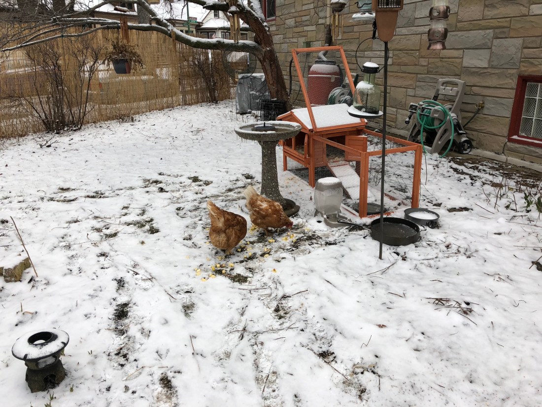 dhqHKIlMS5a1Mm3UPA9A+g