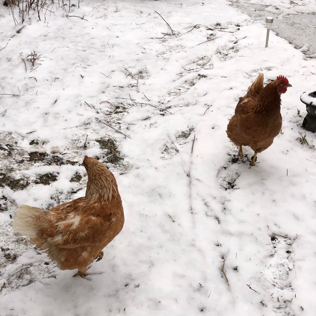 y+kMLkCETnGJW82jejIYIw