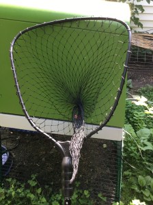 It might be a fish catcher